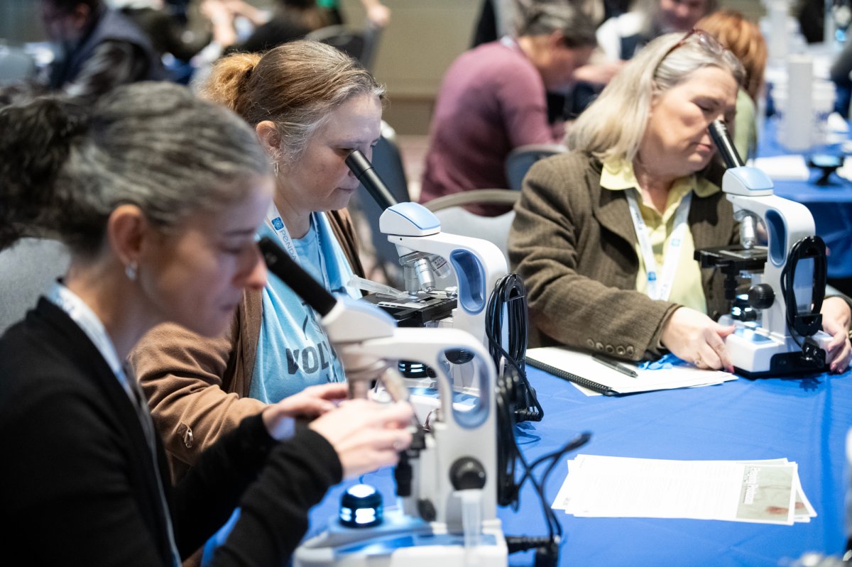 nsta attendees use microscopes in an educational workshop